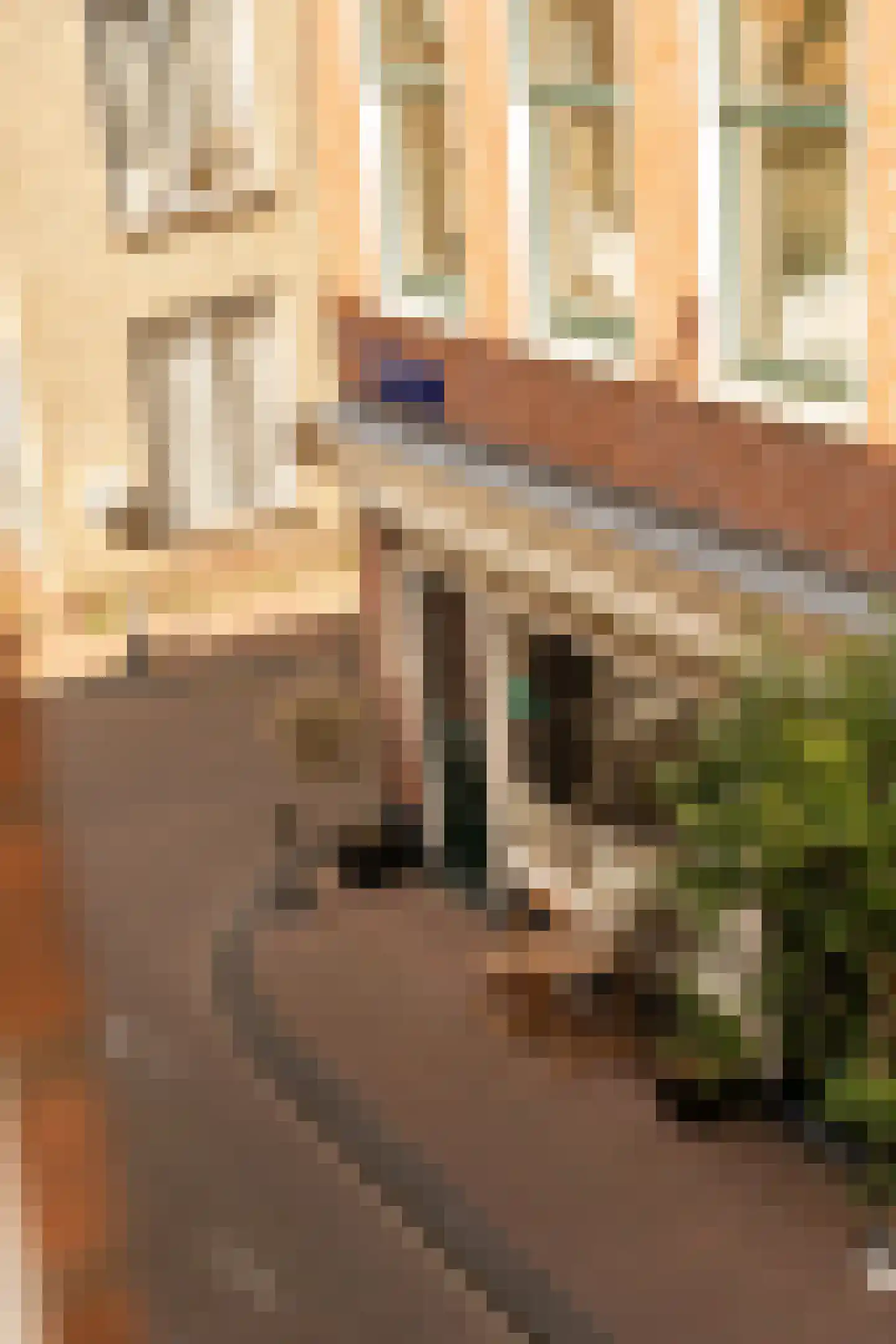 Derde Egelantiersdwarsstraat 20 H Amsterdam thumbnail 18