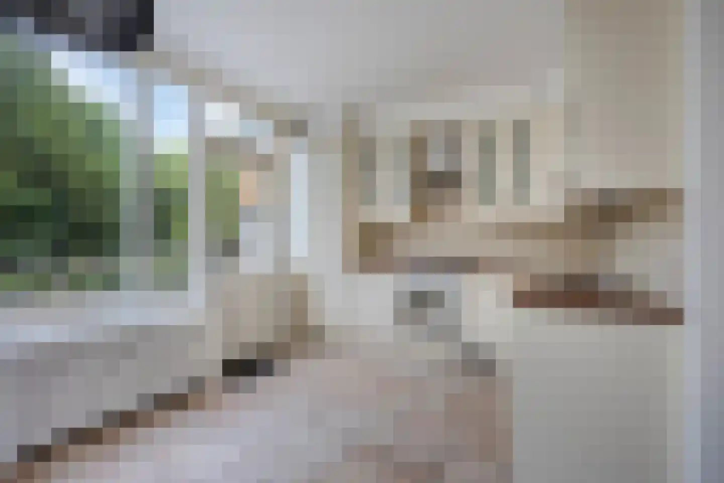 Derde Hambaken 53 's-Hertogenbosch thumbnail 23