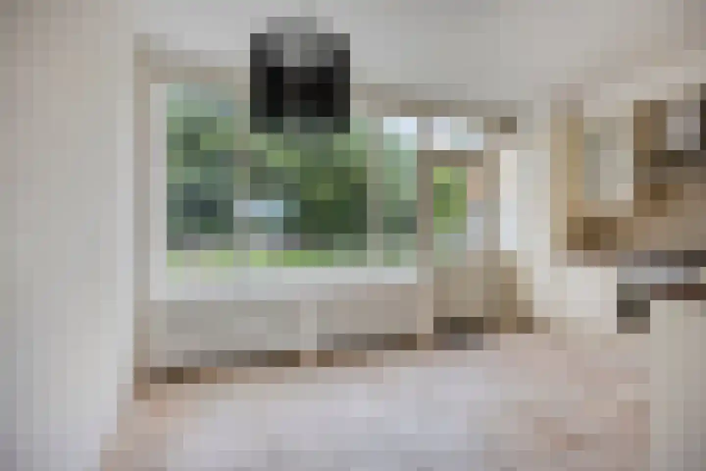 Derde Hambaken 53 's-Hertogenbosch thumbnail 24