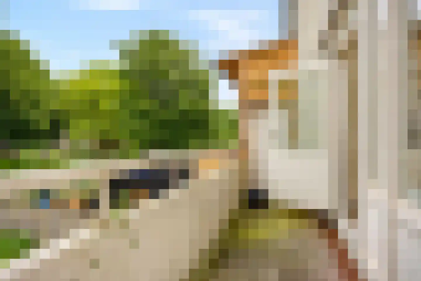 Derde Hambaken 53 's-Hertogenbosch thumbnail 30