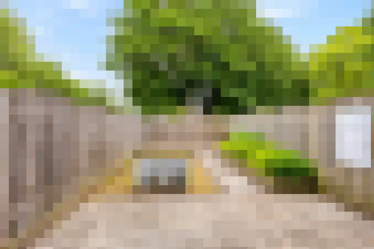 Derde Hambaken 53 's-Hertogenbosch thumbnail 44