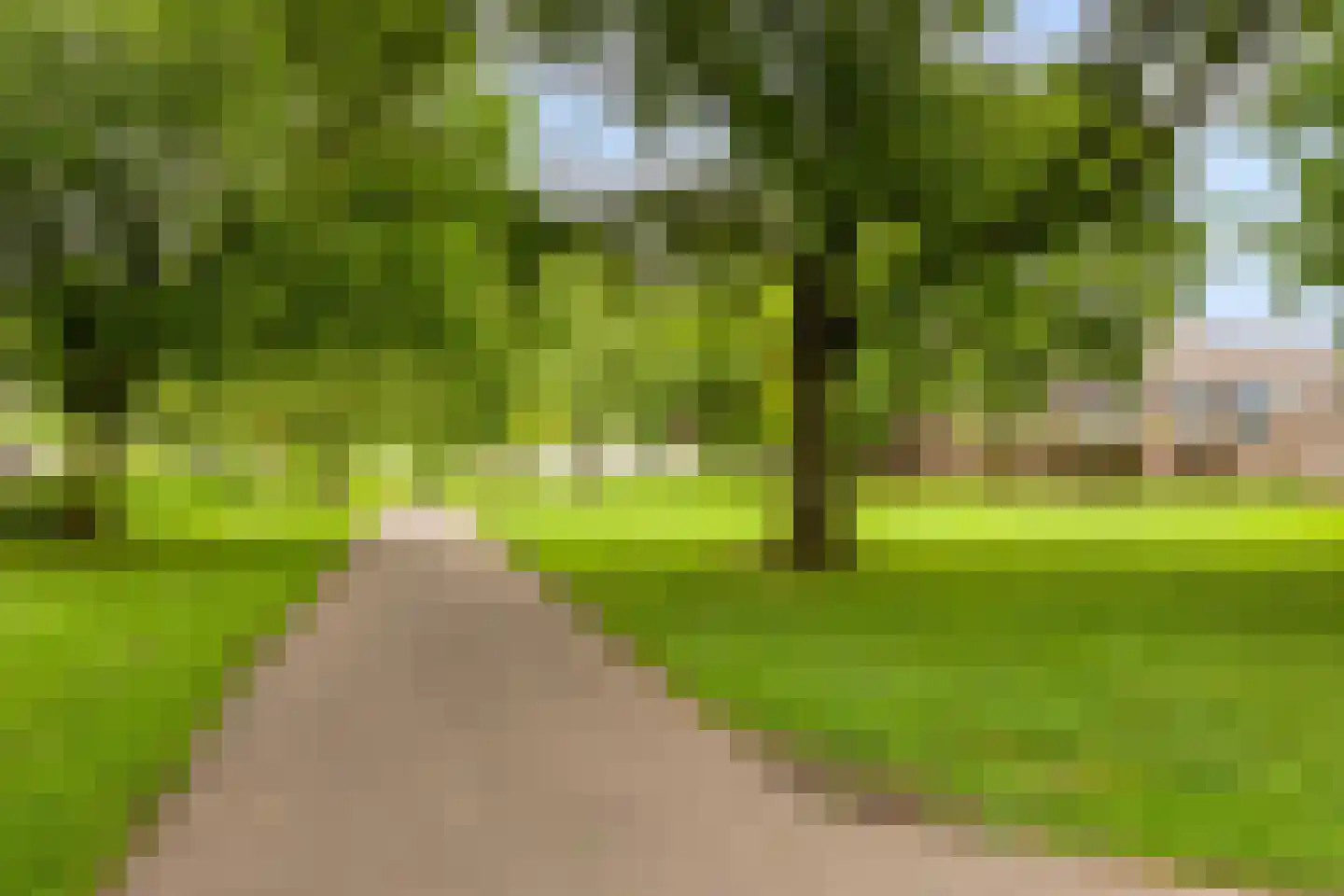 Derde Hambaken 53 's-Hertogenbosch thumbnail 50