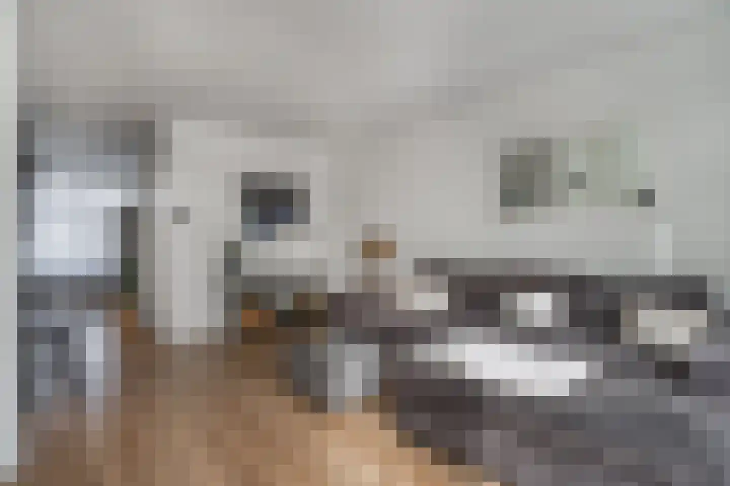 Derde Hambaken 91 's-Hertogenbosch thumbnail 11
