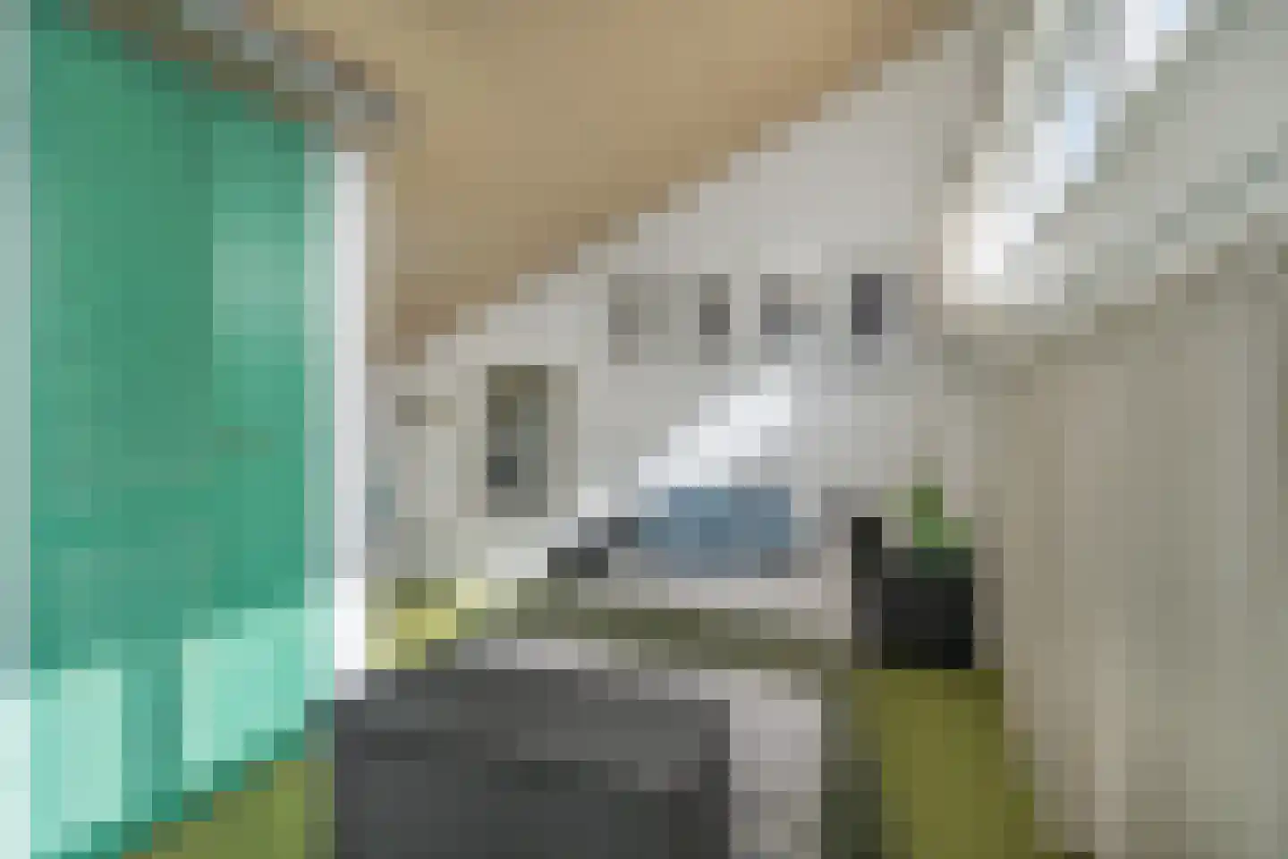 Derde Hambaken 91 's-Hertogenbosch thumbnail 16