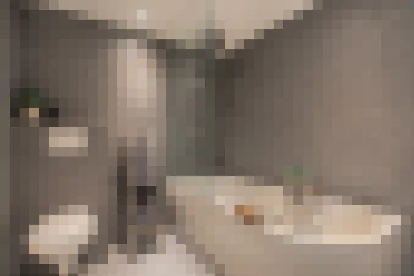 Derde Hambaken 91 's-Hertogenbosch thumbnail 22