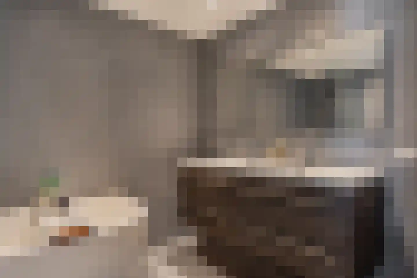 Derde Hambaken 91 's-Hertogenbosch thumbnail 23