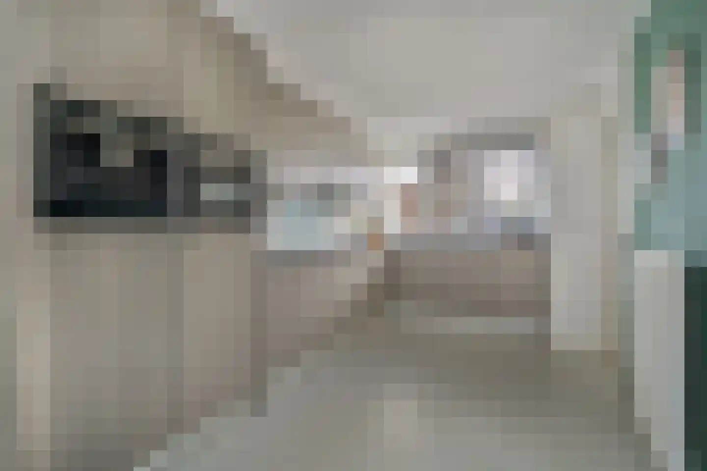 Derde Hambaken 91 's-Hertogenbosch thumbnail 4