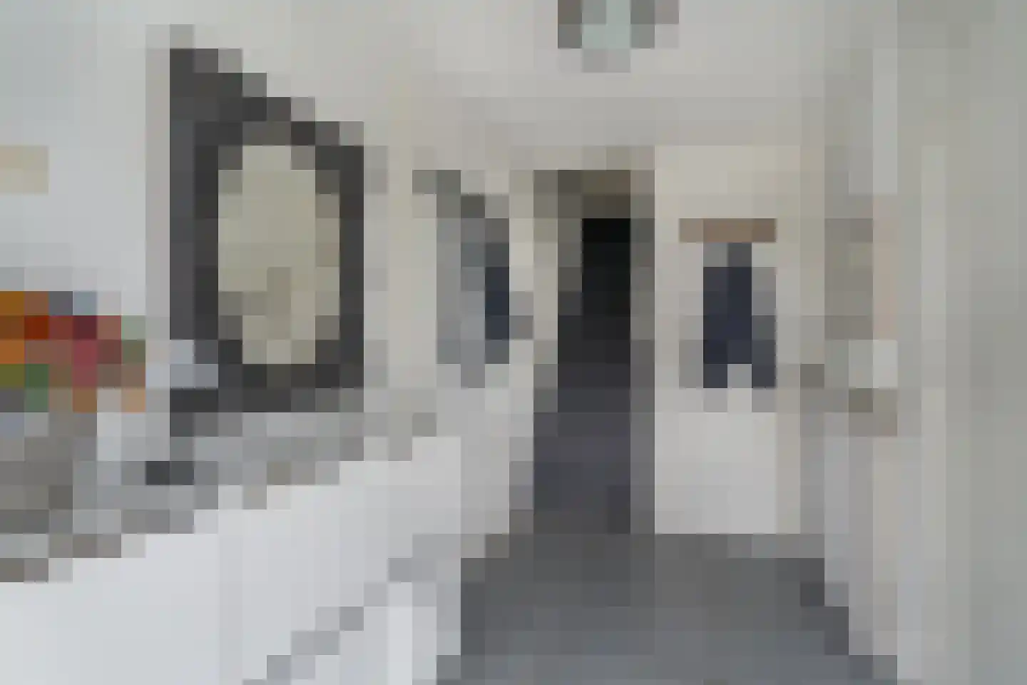 Derde Hambaken 91 's-Hertogenbosch thumbnail 6