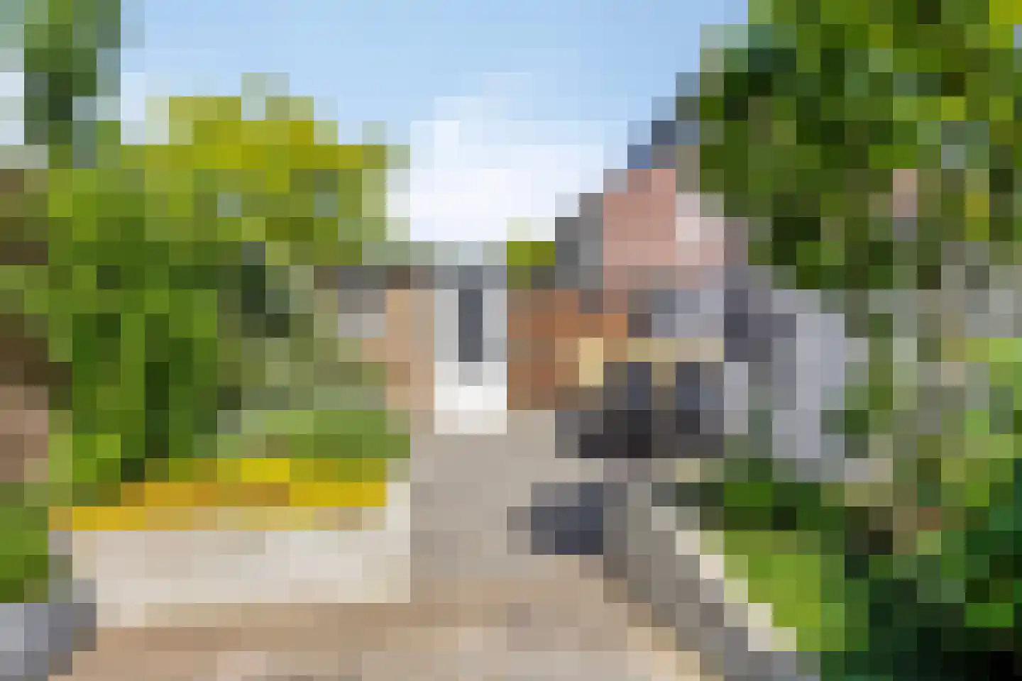 Derde Haren 20 's-Hertogenbosch thumbnail 48