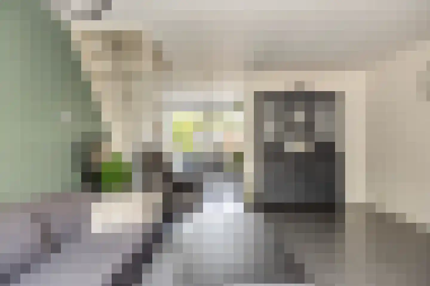 Derde Haren 20 's-Hertogenbosch thumbnail 9