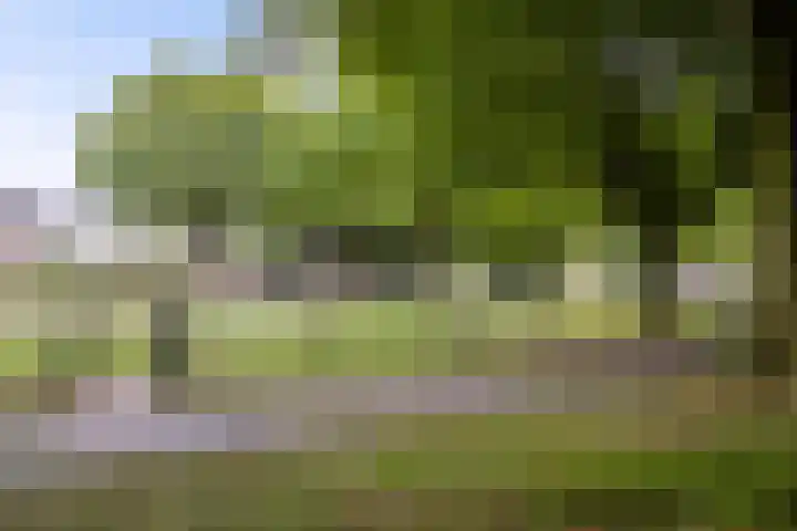 Derde Haren 26 's-Hertogenbosch thumbnail 23