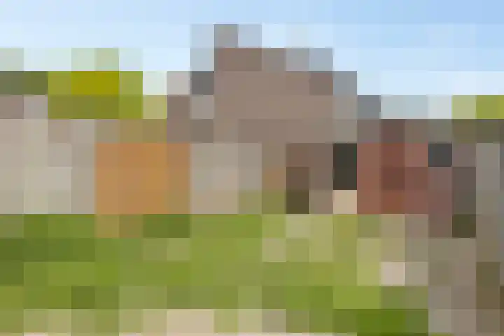 Derde Haren 26 's-Hertogenbosch thumbnail 8