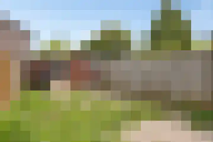 Derde Haren 26 's-Hertogenbosch thumbnail 9