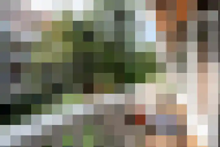 Derde Helmersstraat 35 2 Amsterdam thumbnail 15
