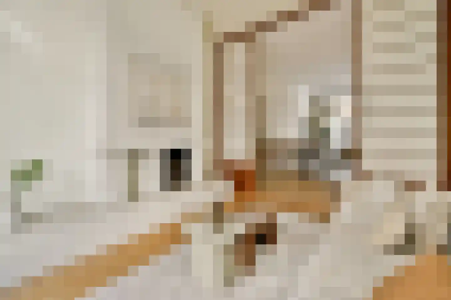 Derde Helmersstraat 47 A 3 Amsterdam thumbnail 4