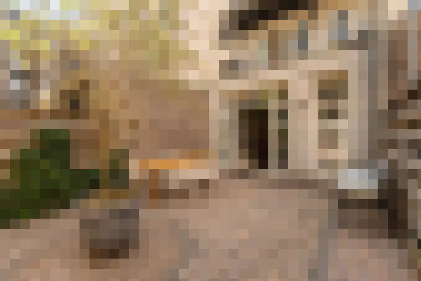 Derde Hugo de Grootstraat 12 H Amsterdam thumbnail 4