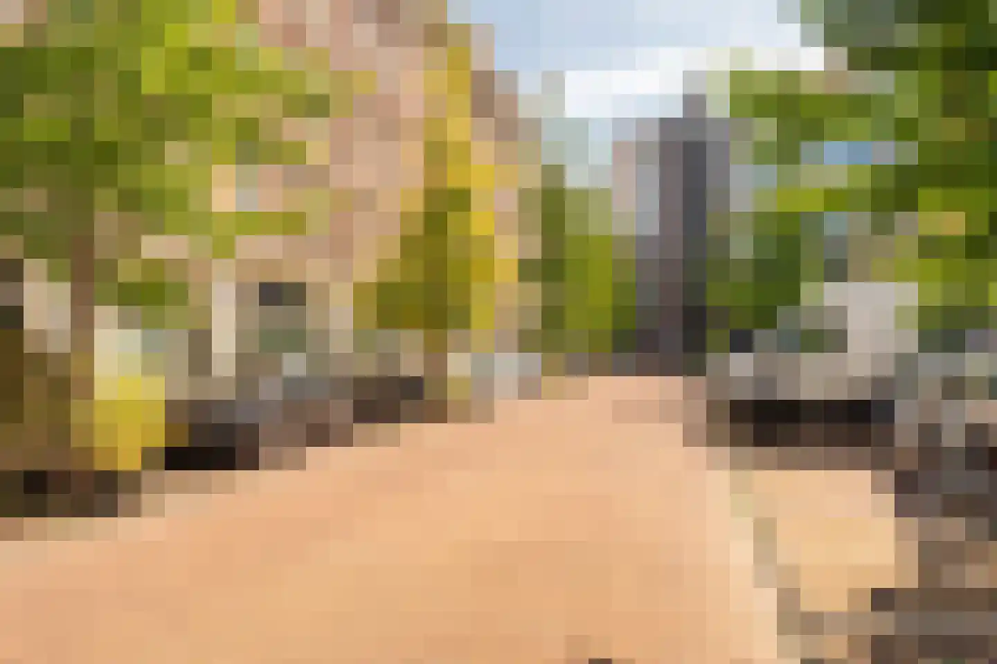 Derde Hugo de Grootstraat 12 H Amsterdam thumbnail 40