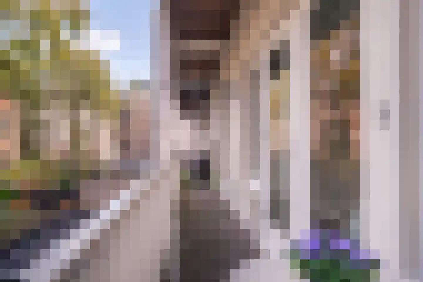 Derde Hugo de Grootstraat 14 1 Amsterdam thumbnail 10