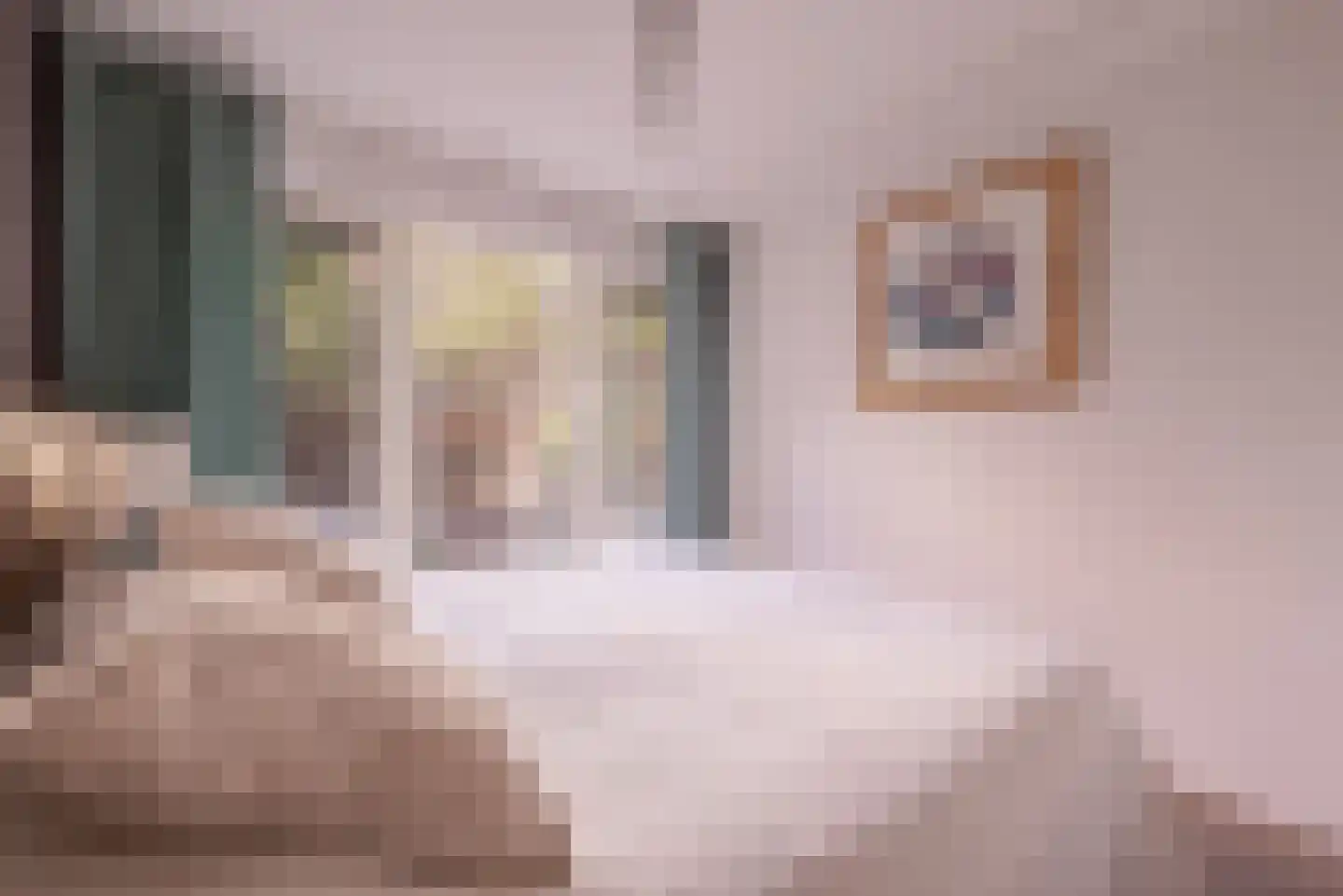 Derde Hugo de Grootstraat 14 1 Amsterdam thumbnail 13