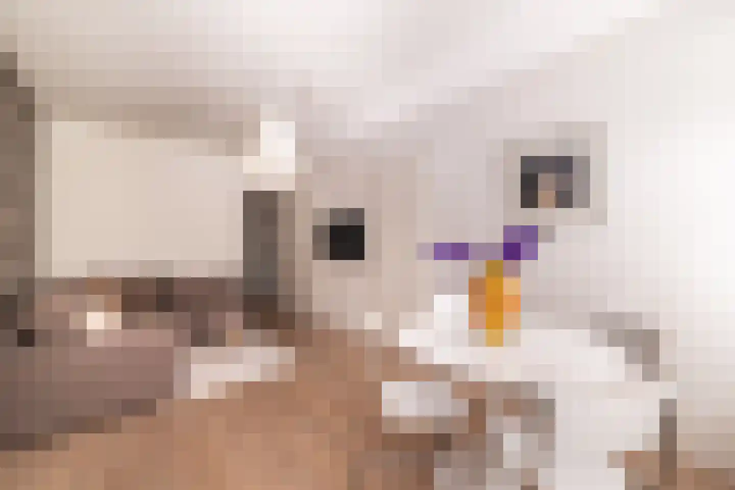 Derde Hugo de Grootstraat 14 1 Amsterdam thumbnail 4