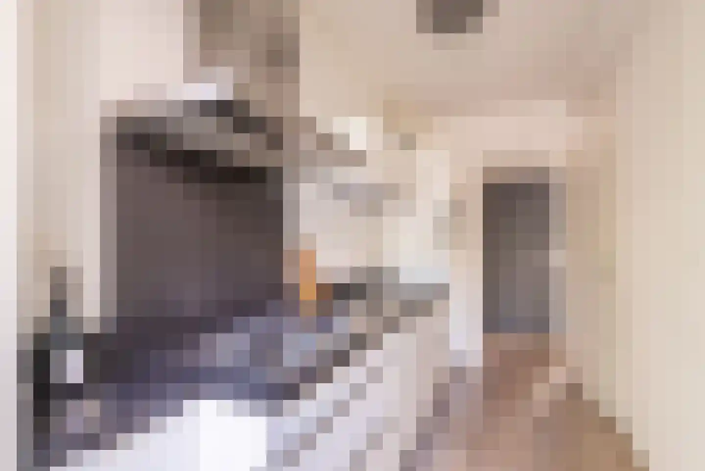 Derde Hugo de Grootstraat 14 1 Amsterdam thumbnail 6