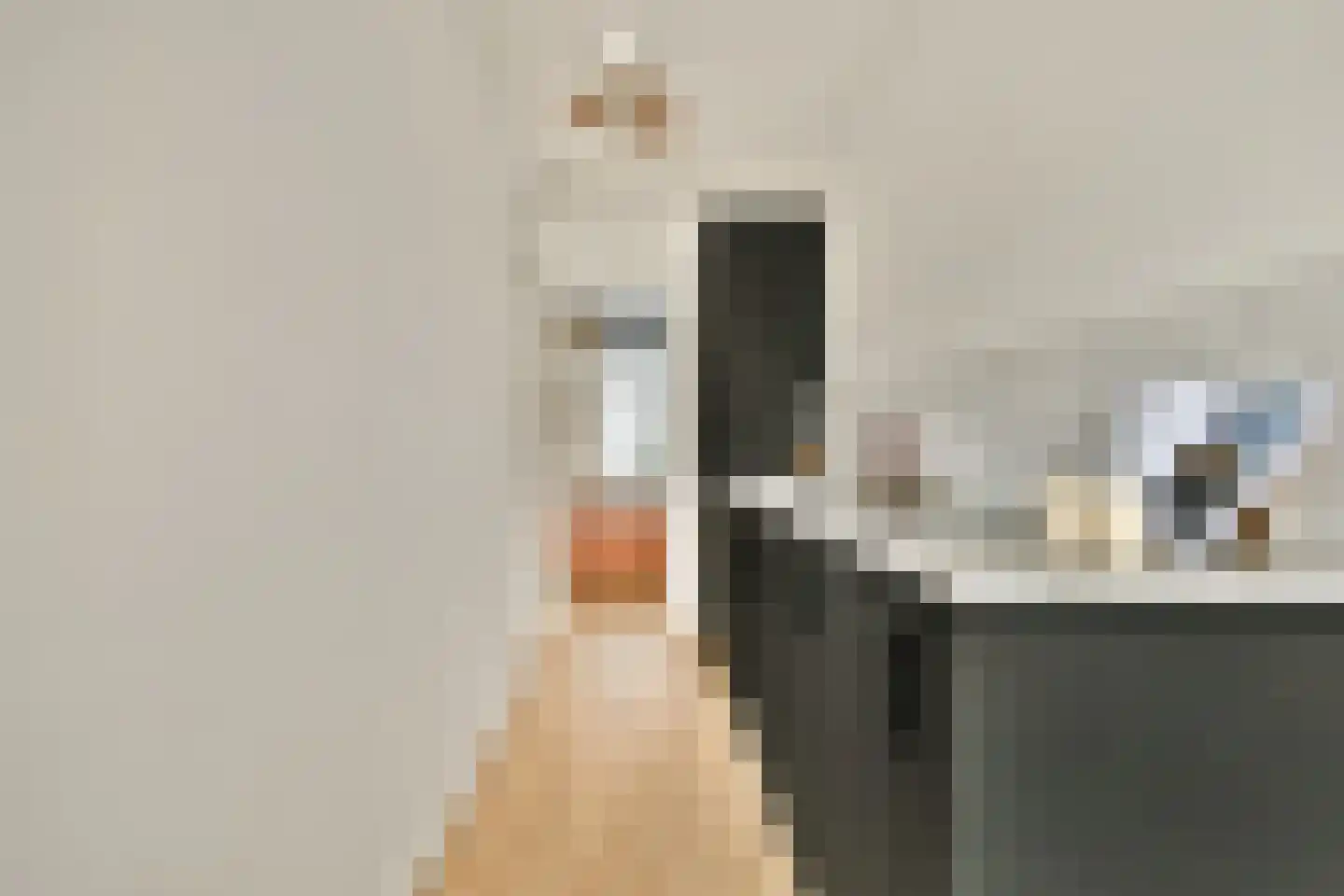 Derde Hugo de Grootstraat 22 1 Amsterdam thumbnail 6