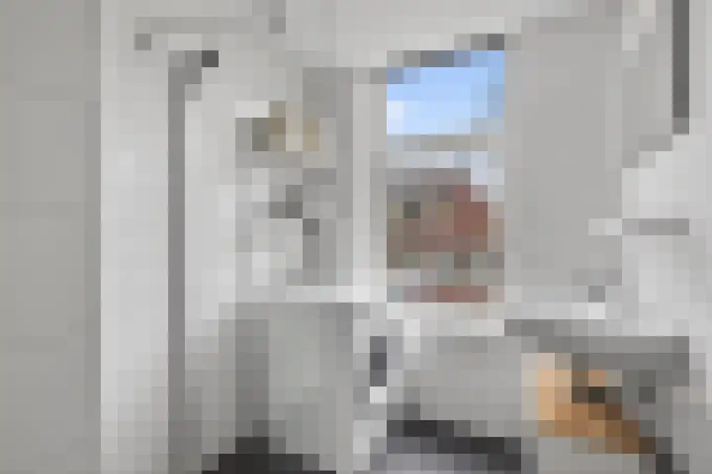 Derde Hugo de Grootstraat 4 4 Amsterdam thumbnail 16