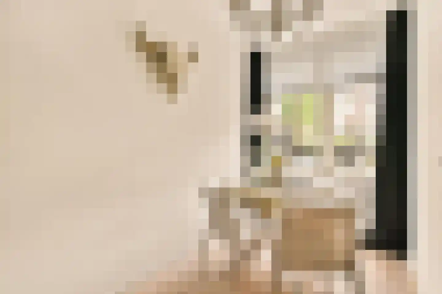 Derde Hugo de Grootstraat 4 H Amsterdam thumbnail 10