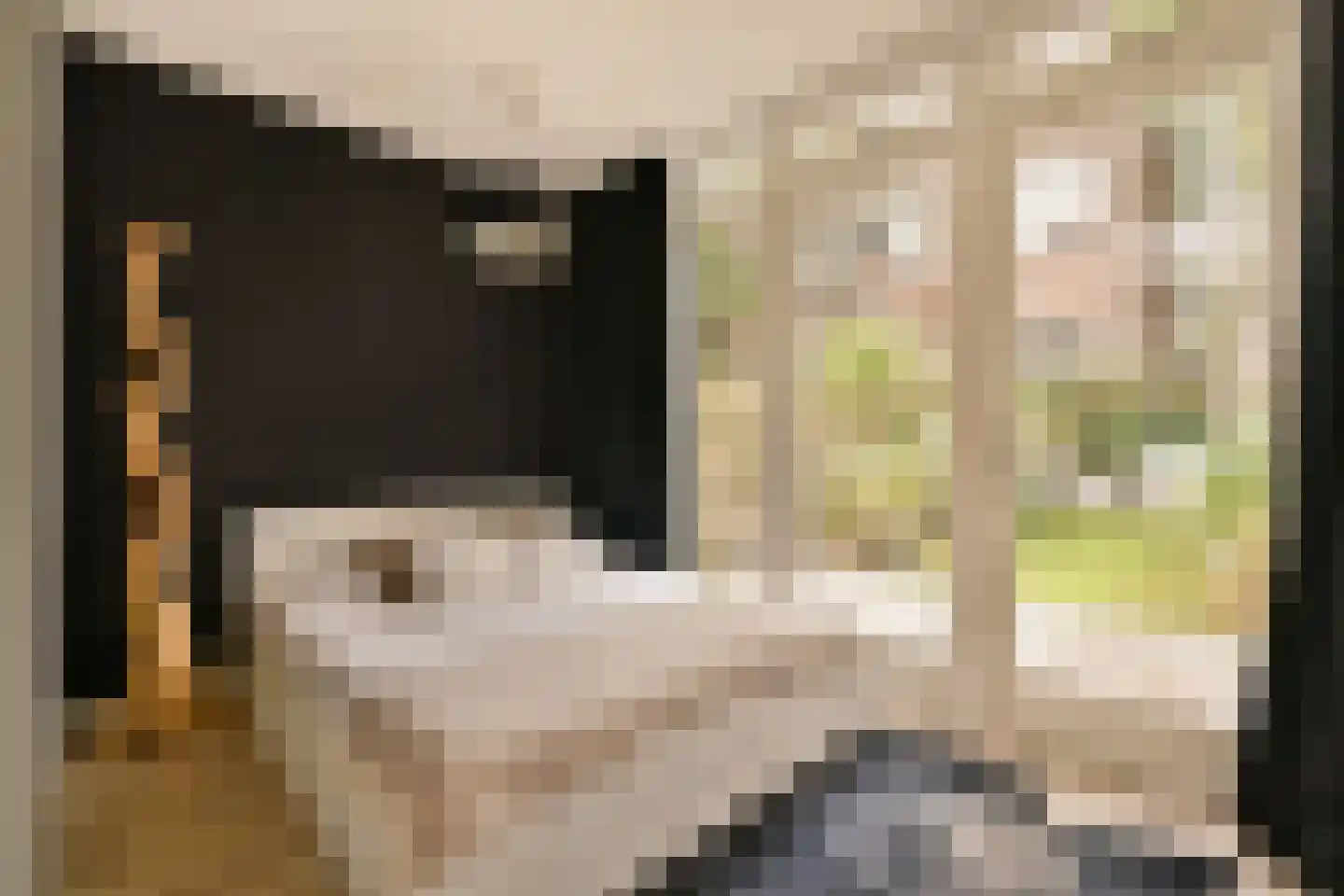 Derde Hugo de Grootstraat 4 H Amsterdam thumbnail 12