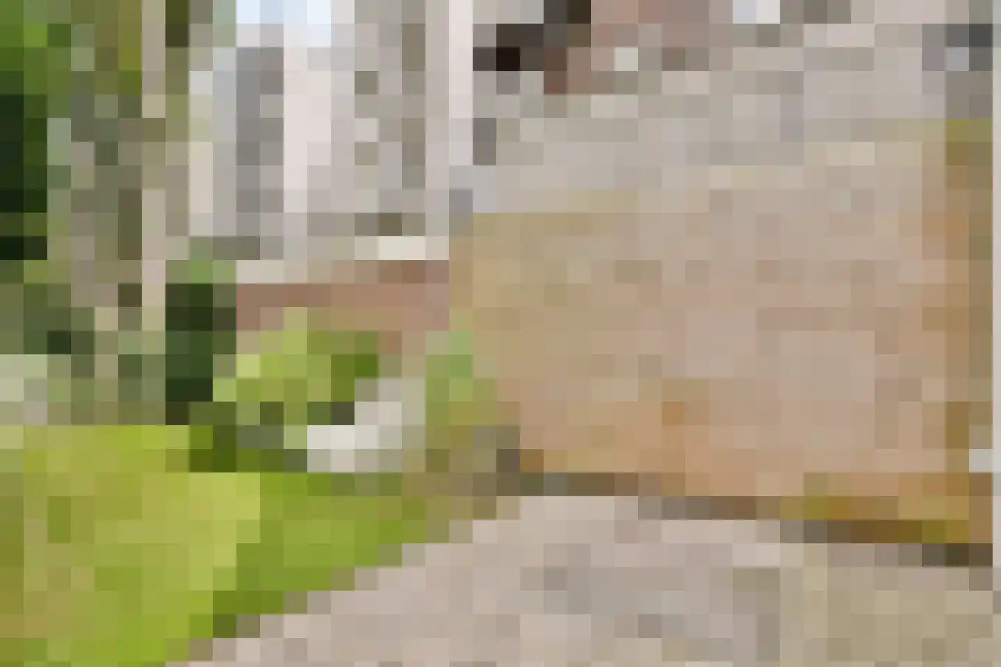 Derde Hugo de Grootstraat 4 H Amsterdam thumbnail 13
