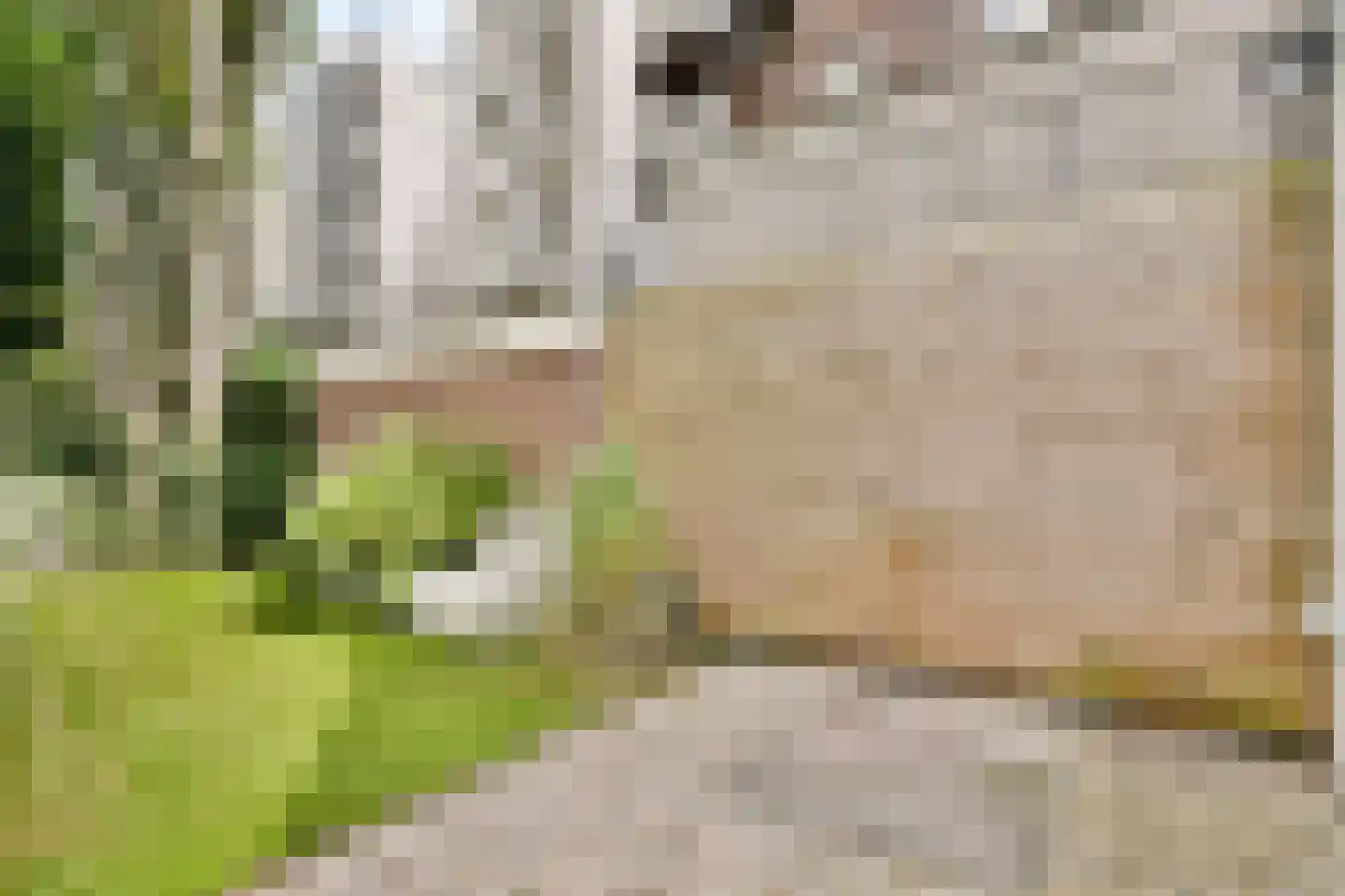 Derde Hugo de Grootstraat 4 H Amsterdam thumbnail 13