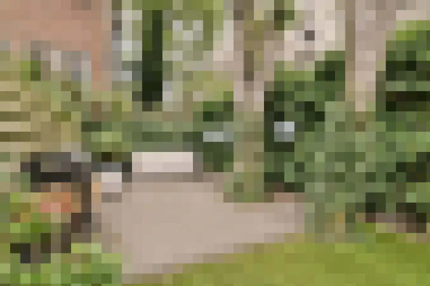 Derde Hugo de Grootstraat 4 H Amsterdam thumbnail 15