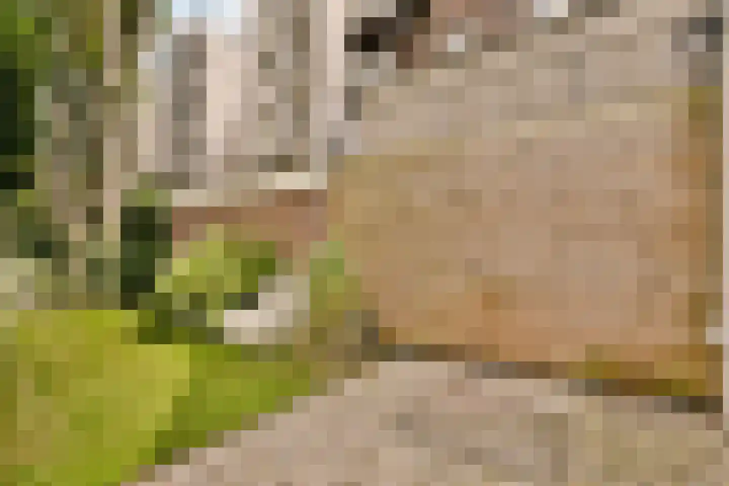 Derde Hugo de Grootstraat 4 H Amsterdam thumbnail 20