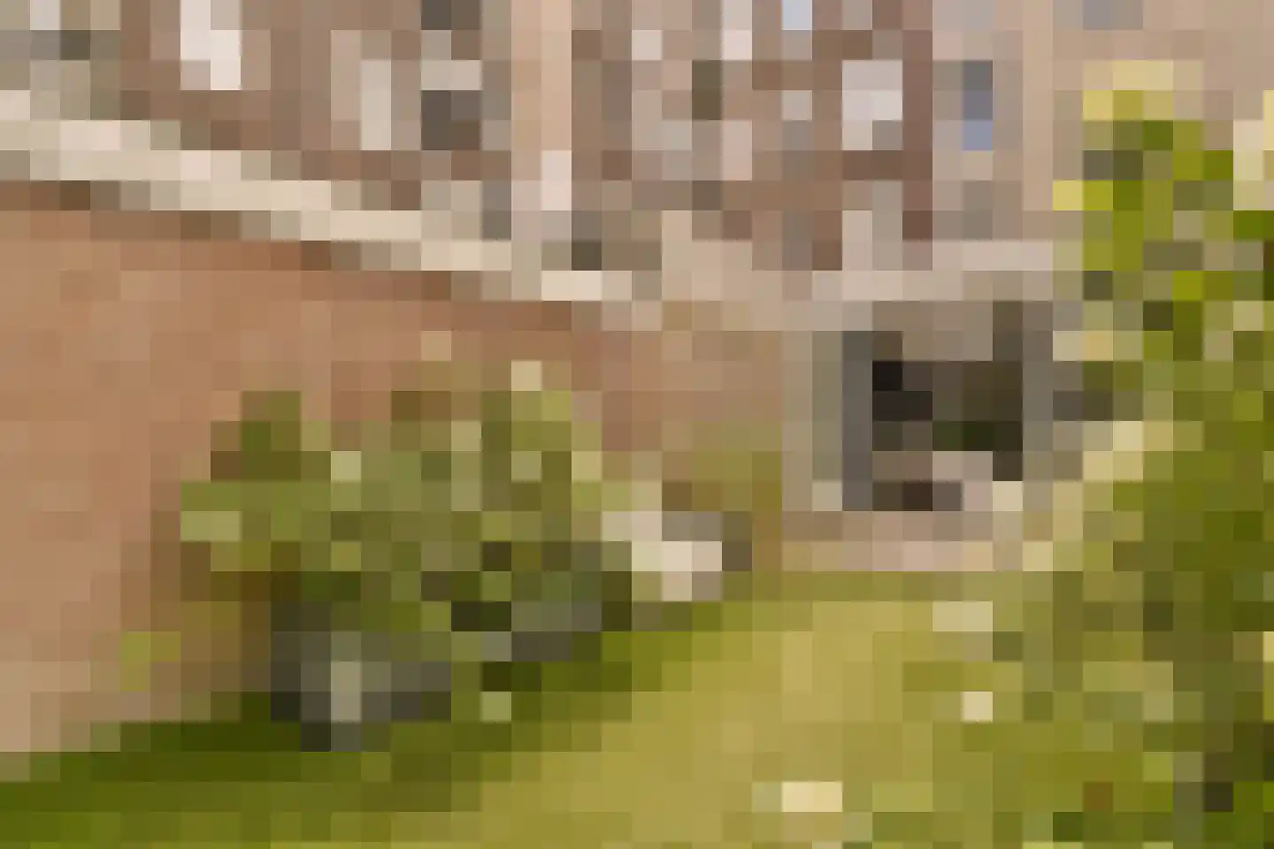Derde Hugo de Grootstraat 4 H Amsterdam thumbnail 23