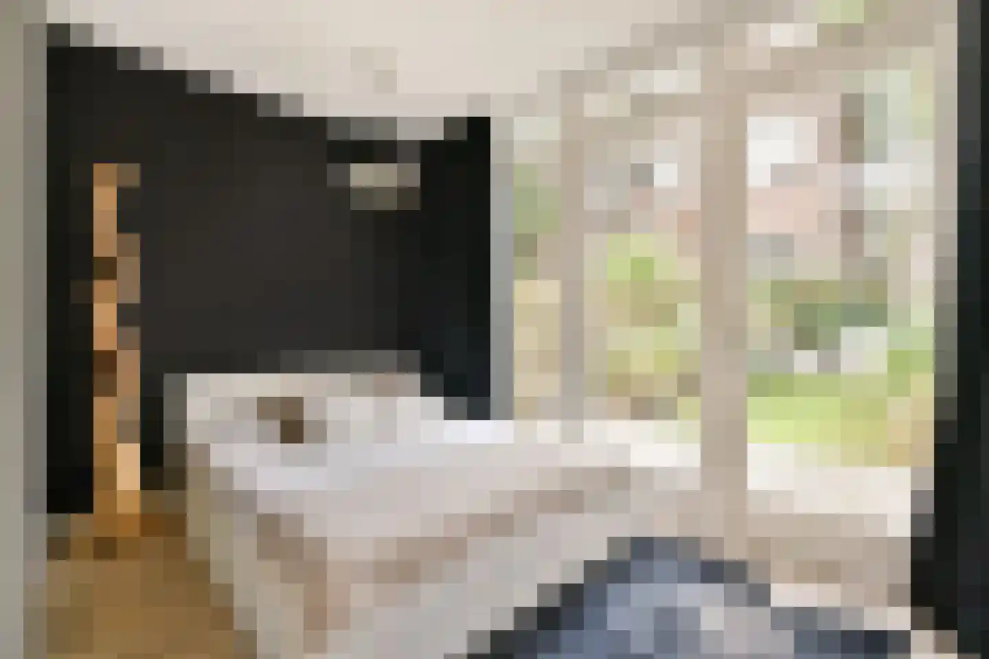 Derde Hugo de Grootstraat 4 H Amsterdam thumbnail 6