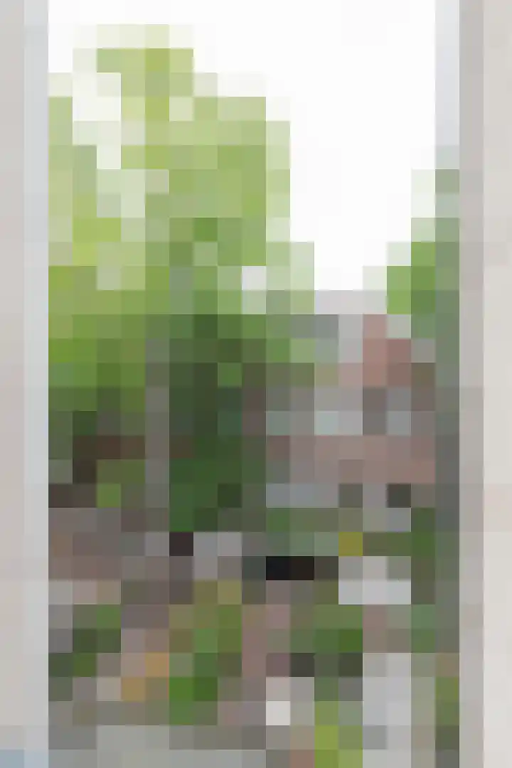 Derde Hugo de Grootstraat 6 2 Amsterdam thumbnail 17