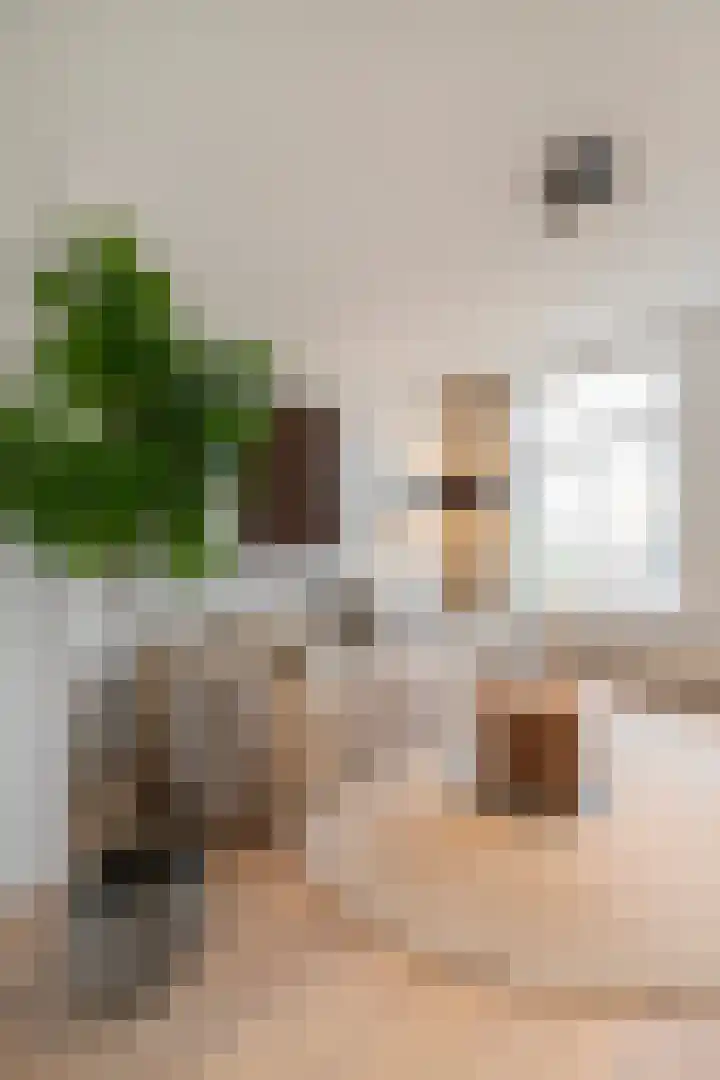 Derde Hugo de Grootstraat 6 2 Amsterdam thumbnail 4