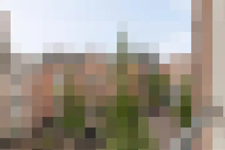 Derde Hugo de Grootstraat 6 2 Amsterdam thumbnail 6