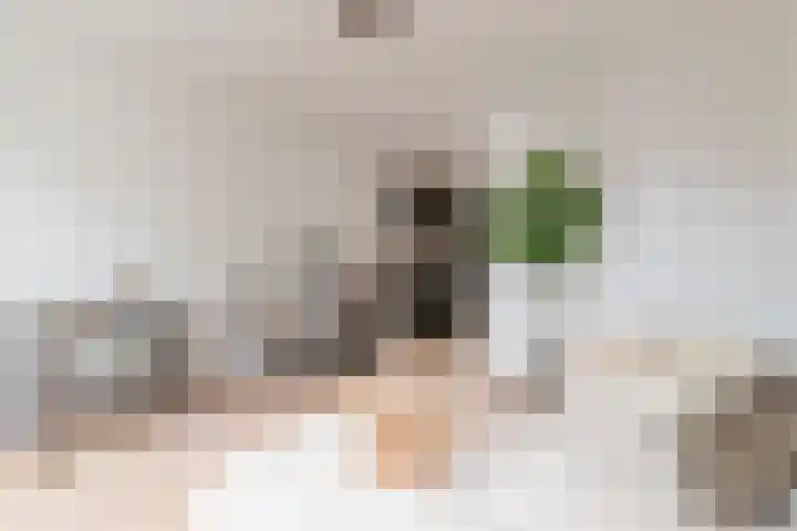 Derde Hugo de Grootstraat 6 2 Amsterdam thumbnail 7