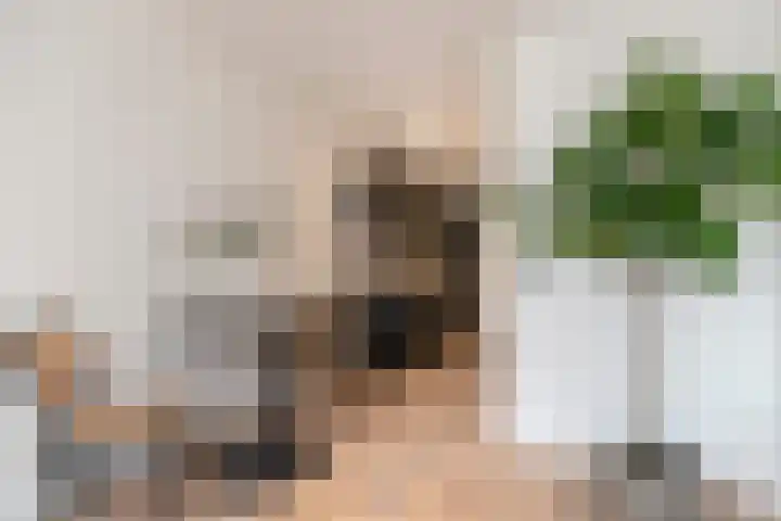 Derde Hugo de Grootstraat 6 2 Amsterdam thumbnail 9