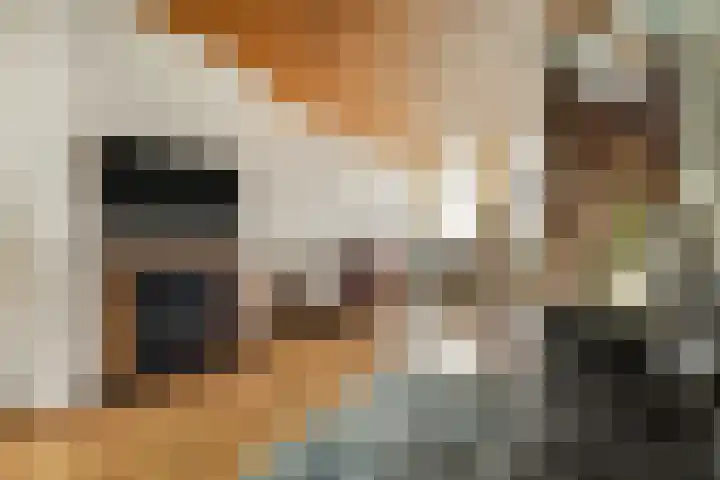 Derde kade 113 Gouda thumbnail 10