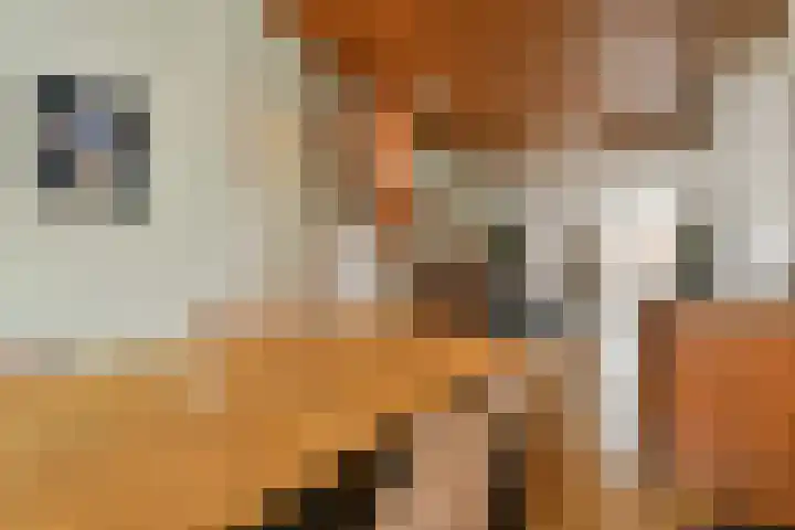 Derde kade 113 Gouda thumbnail 12