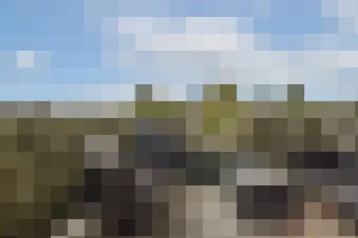 Derde kade 113 Gouda thumbnail 27