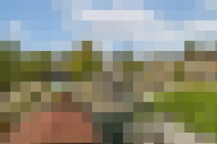 Derde kade 113 Gouda thumbnail 29