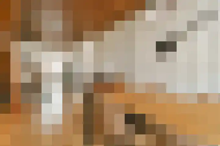 Derde kade 113 Gouda thumbnail 7