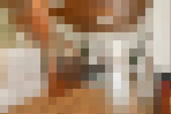 Derde kade 113 Gouda thumbnail 8