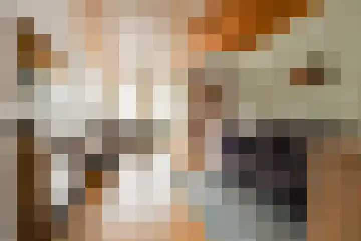 Derde kade 113 Gouda thumbnail 9