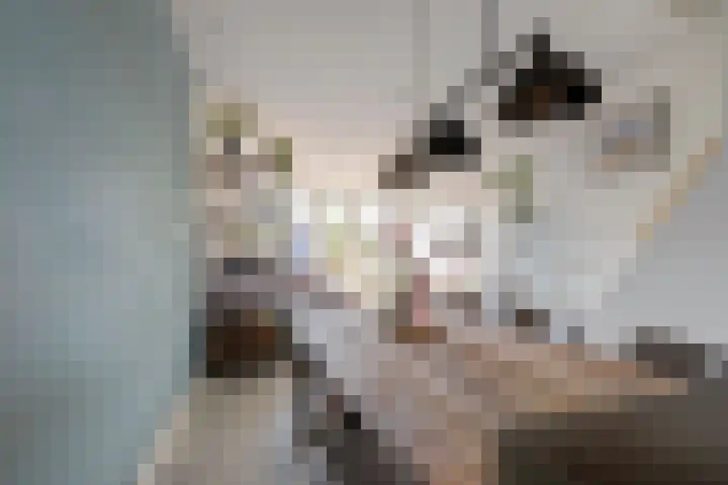 Derde kade 127 Gouda thumbnail 16