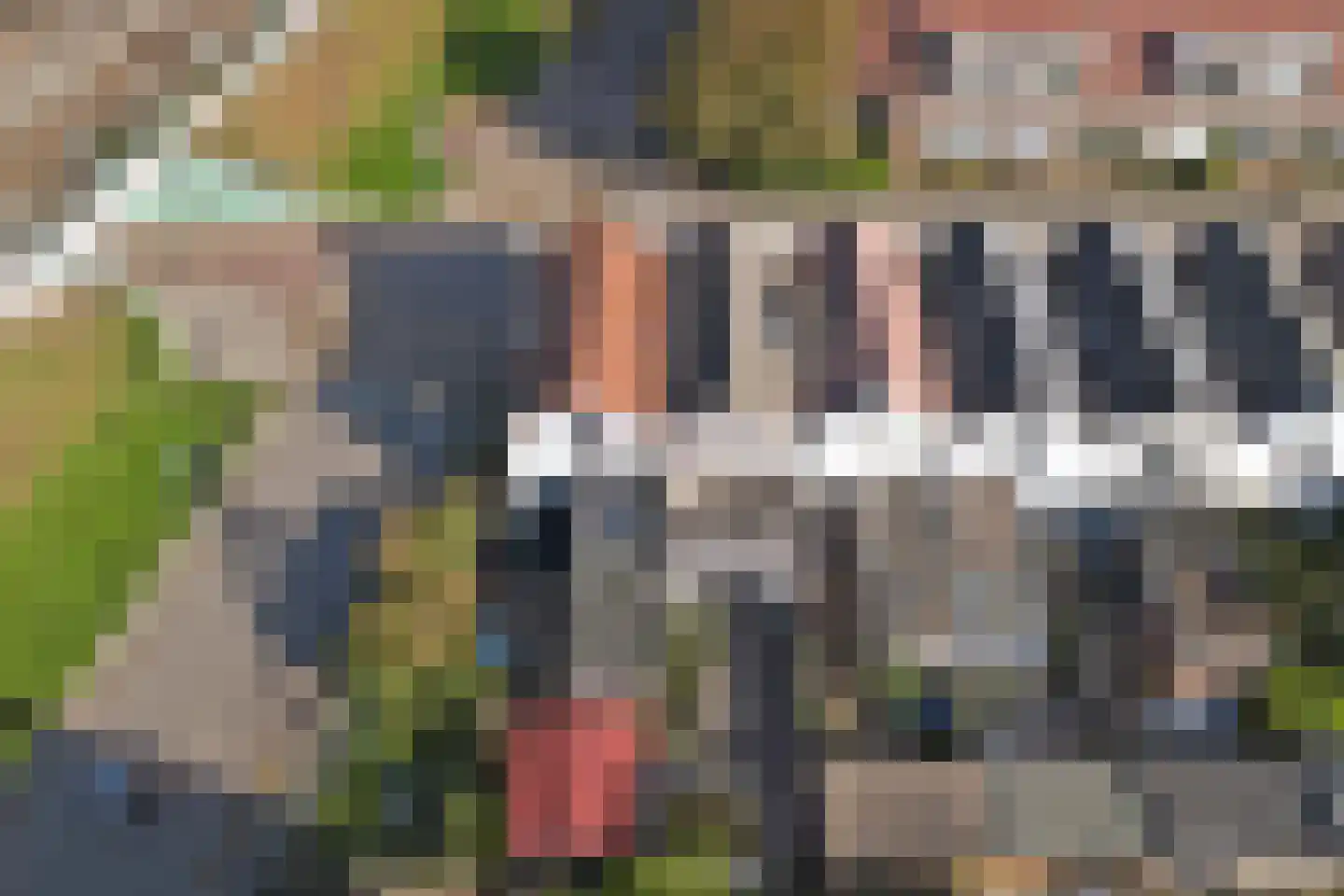 Derde kade 127 Gouda thumbnail 36