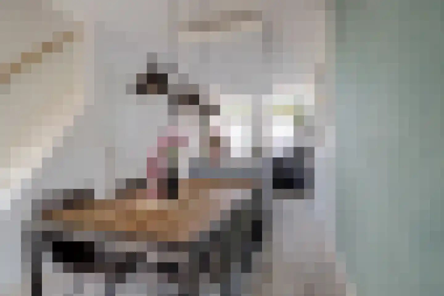 Derde kade 127 Gouda thumbnail 4